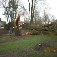 DSCN0825.jpg